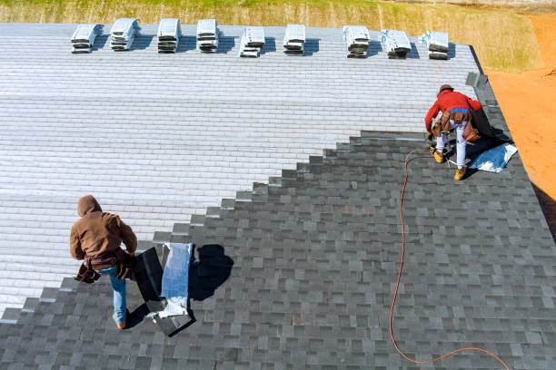 Best Roof Leak Repair  in Tecumseh, MI