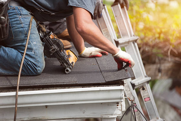 Best Affordable Roofing Company  in Tecumseh, MI
