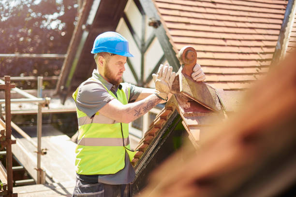 Best Affordable Roofing Company  in Tecumseh, MI