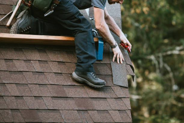 Roof Gutter Cleaning in Tecumseh, MI